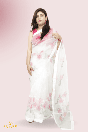 Elegant Sheer Beauty Organza Saree